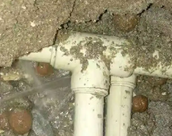 瑞金测漏水多少钱