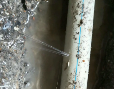 瑞金测漏水哪家好