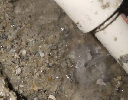 瑞金测漏水电话号码