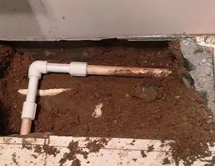 瑞金测漏水哪家好