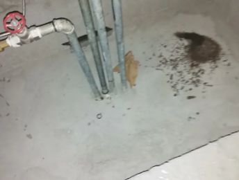 瑞金卫生间测漏水价格明细