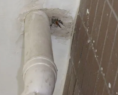 瑞金漏水检测哪家好